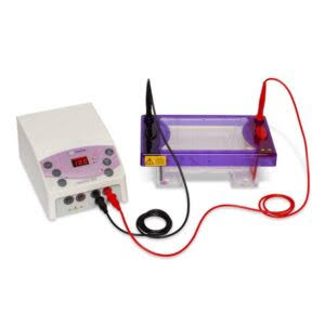 horizontal electrophoresis system